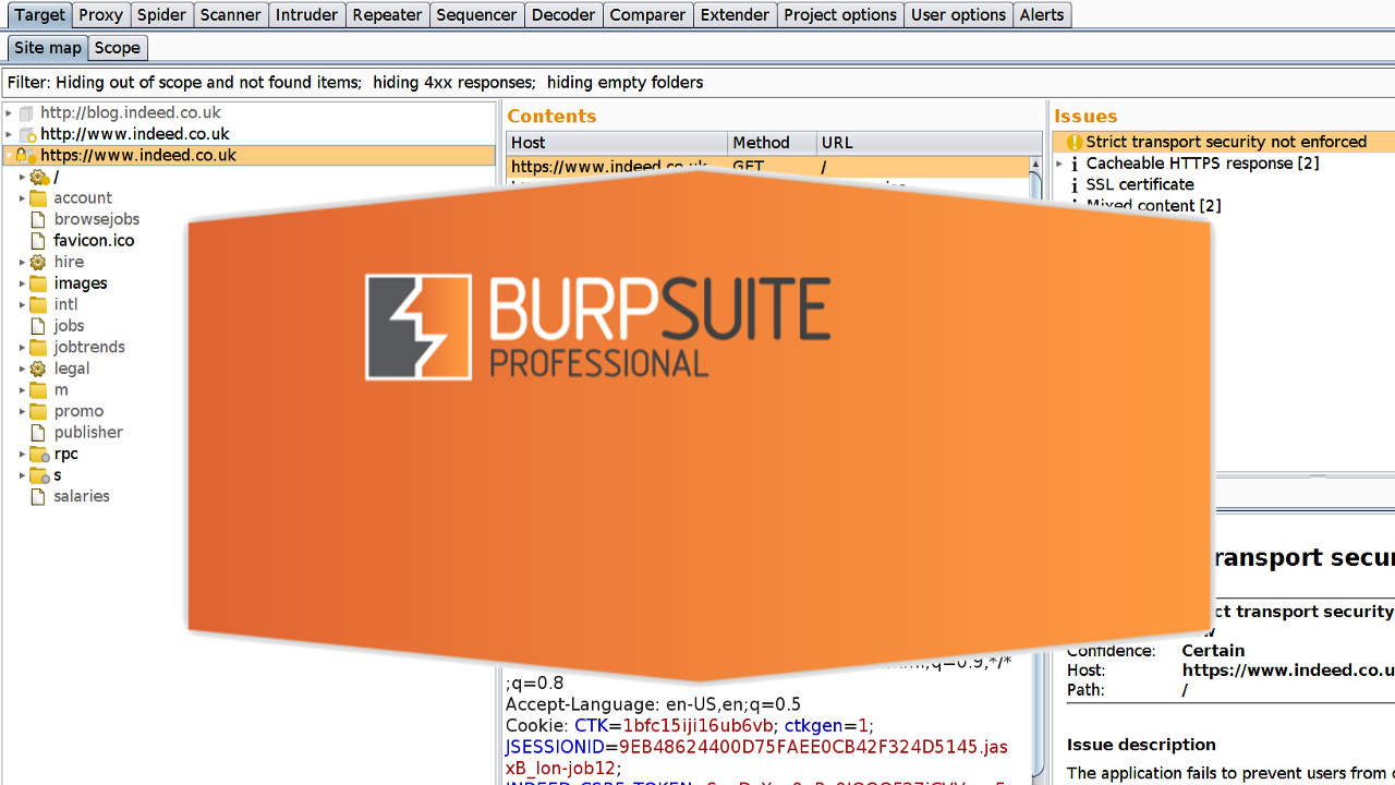 Burp Suite Professional 2022.11.4 Pruebas de seguridad 3