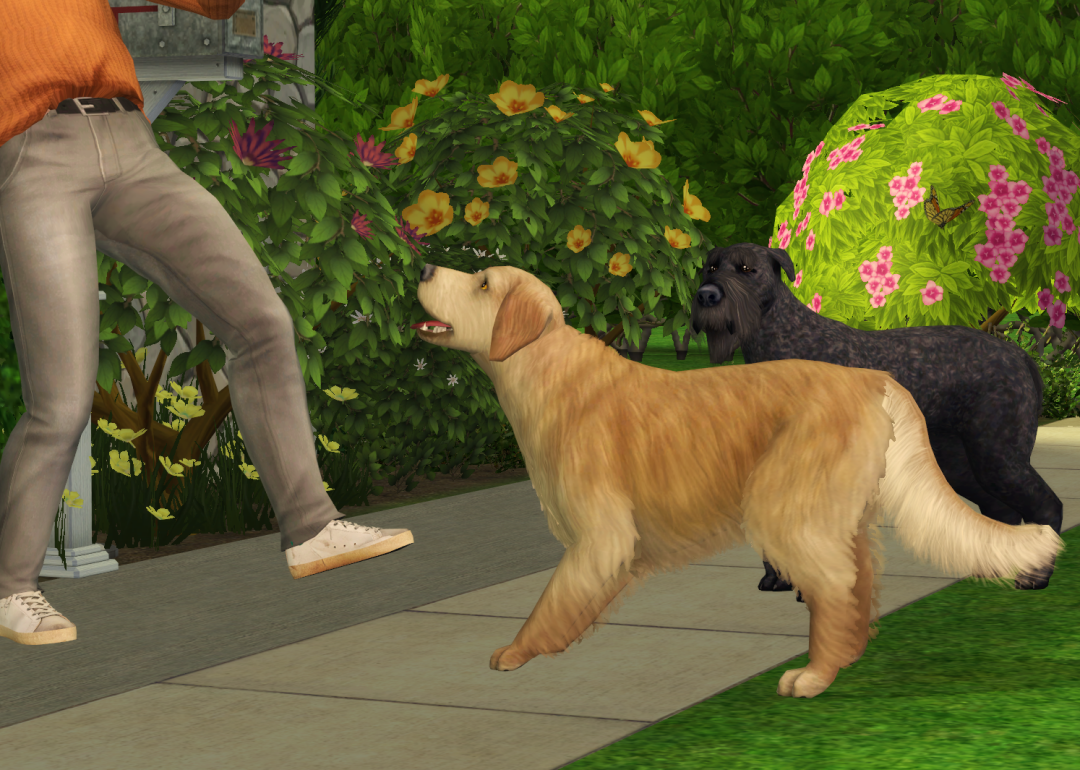 Sims2-EP9-RPC-2023-03-19-16-10-05-83