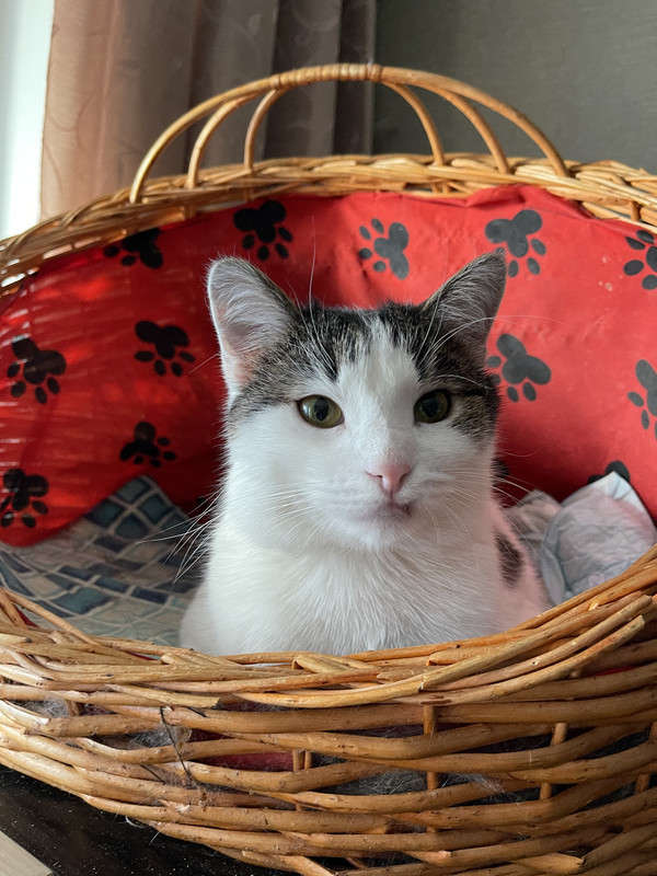 960934EB-1C95-414D-8F61-896A50C9E423