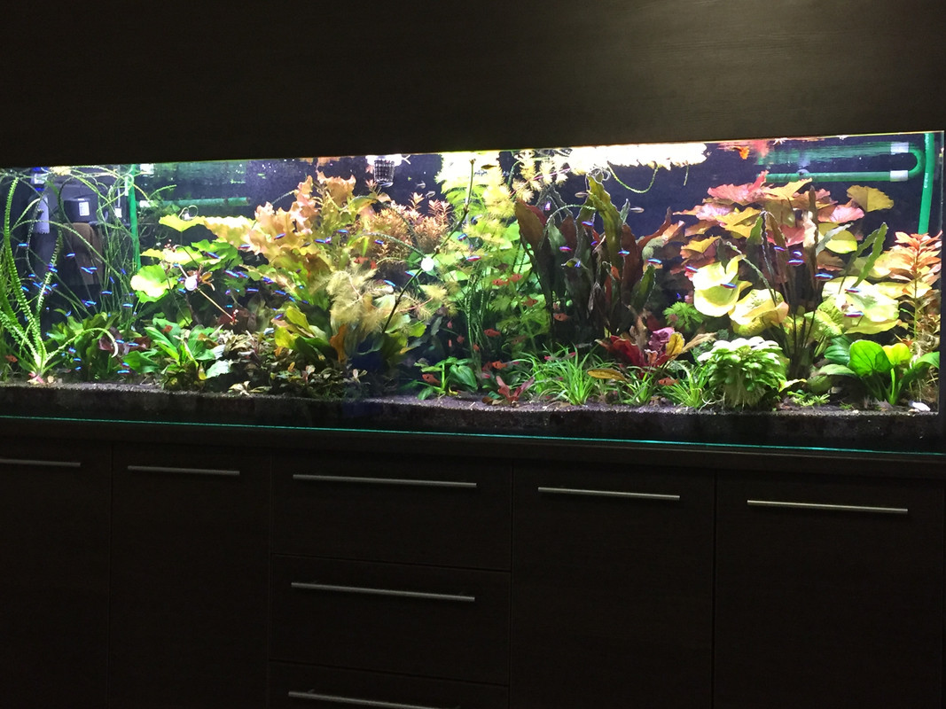 A3DAA89D-FBC4-4C4C-8BB3-DFC516A7C67C