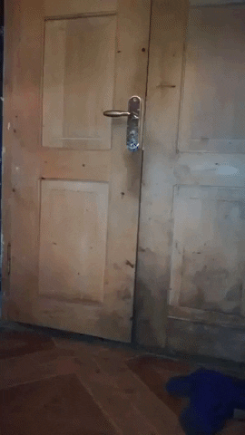 https://i.postimg.cc/wj3CZ1GW/3.gif