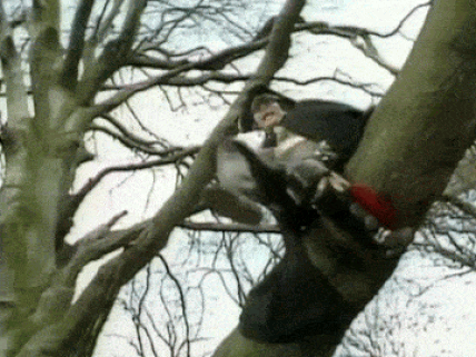 adam-ant-stand.gif