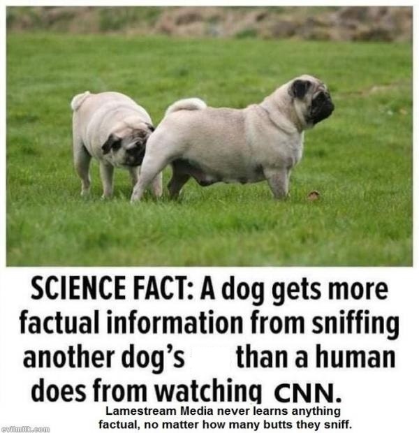 Butt_sniffing_for_info