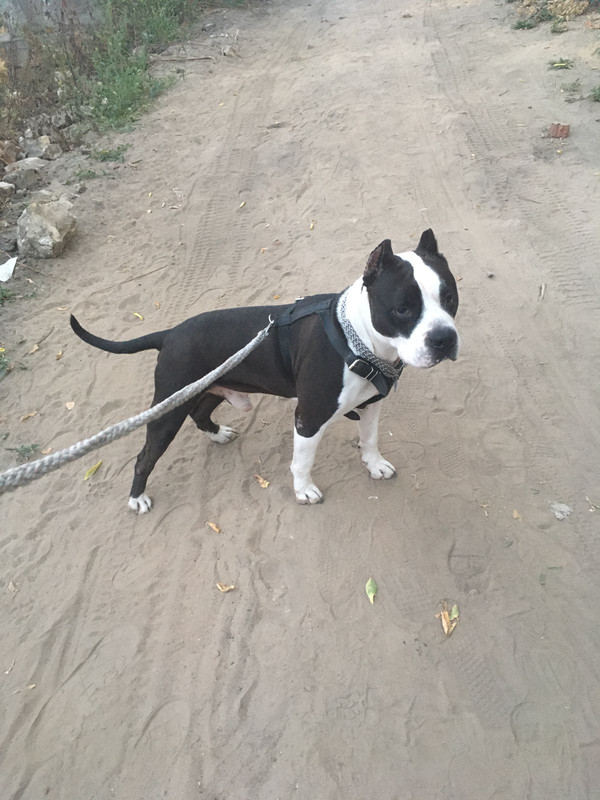 F01D2ABE-E6FF-4642-B0F6-E2DDF4DD5125