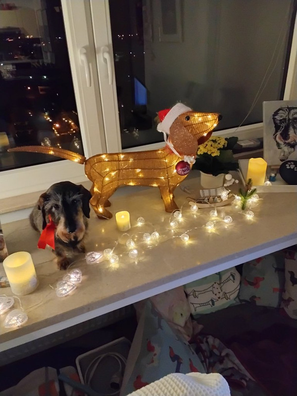 [Image: 20241224-192750.jpg]