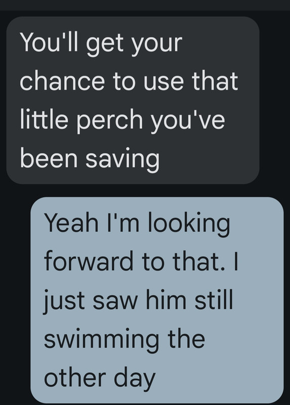 Screenshot_20250117_163518_Messages