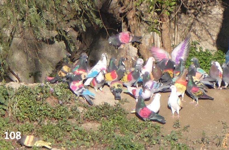 108 Denise Hall 21216EDC-FE95-4BAE-980C-CBB3354BD058