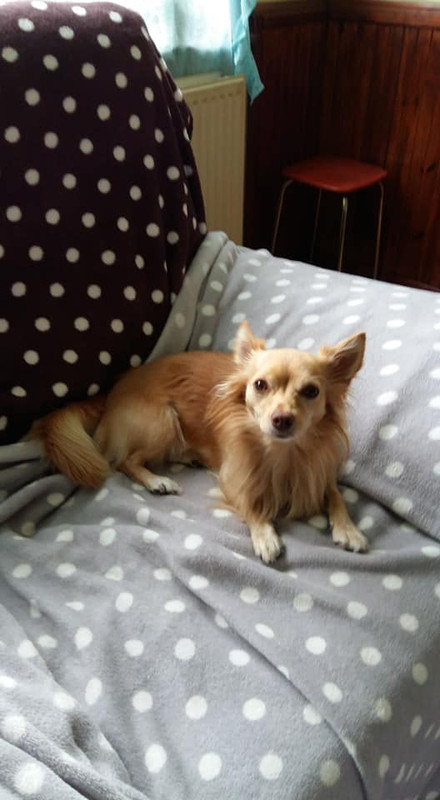 Image and video hosting by TinyPic