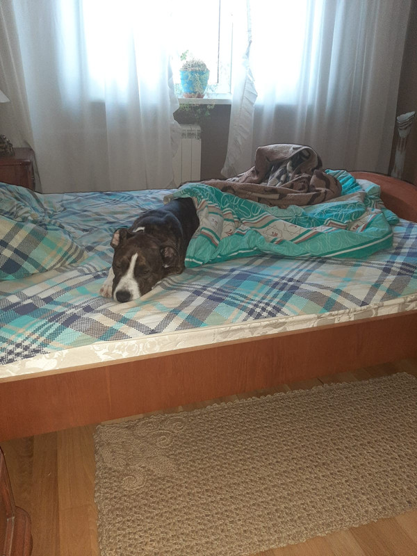 44573D79-E754-457A-AE69-1D02954BF917