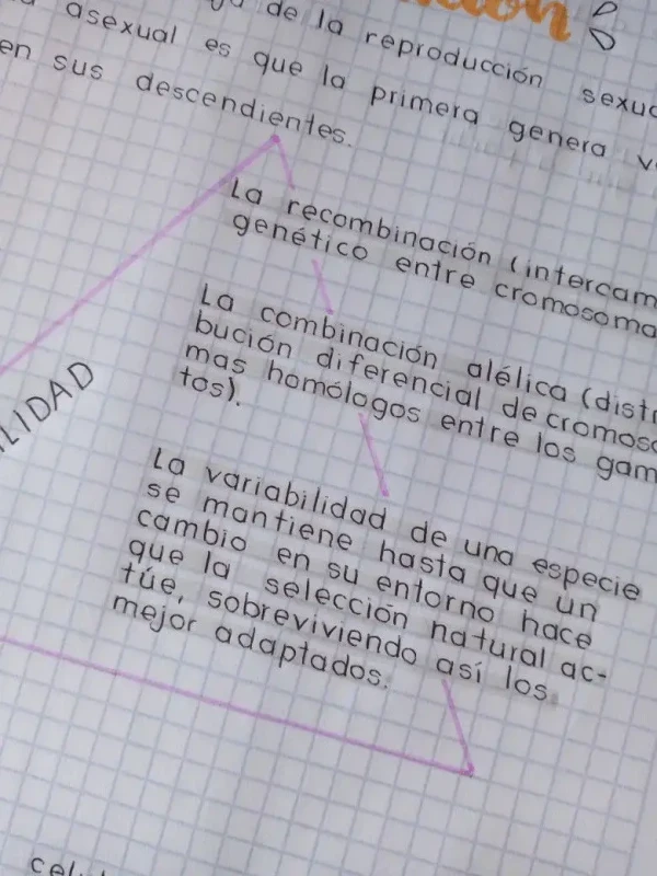 Reseña estudiante 6