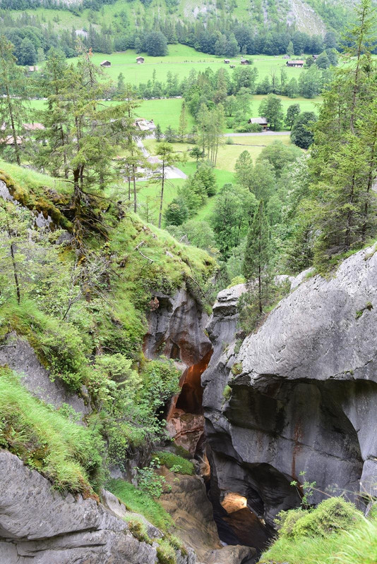 De casa a Grindelwald (Zona de Interlaken) - Huyendo del COVID a los Alpes (2020) (26)