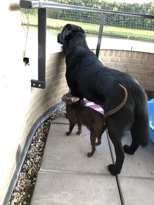 5902E1BF-6596-4A38-905D-0F893E89597B