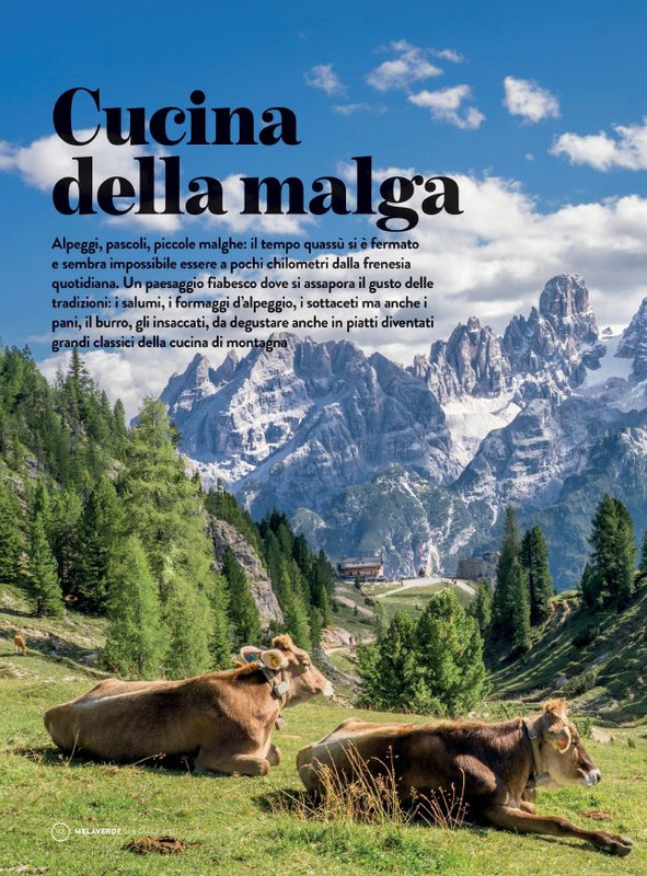 melaverde Dic 2021 (4)