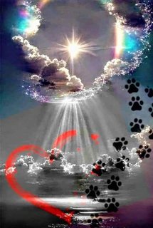 [Image: FB-IMG-1745491248500.jpg]