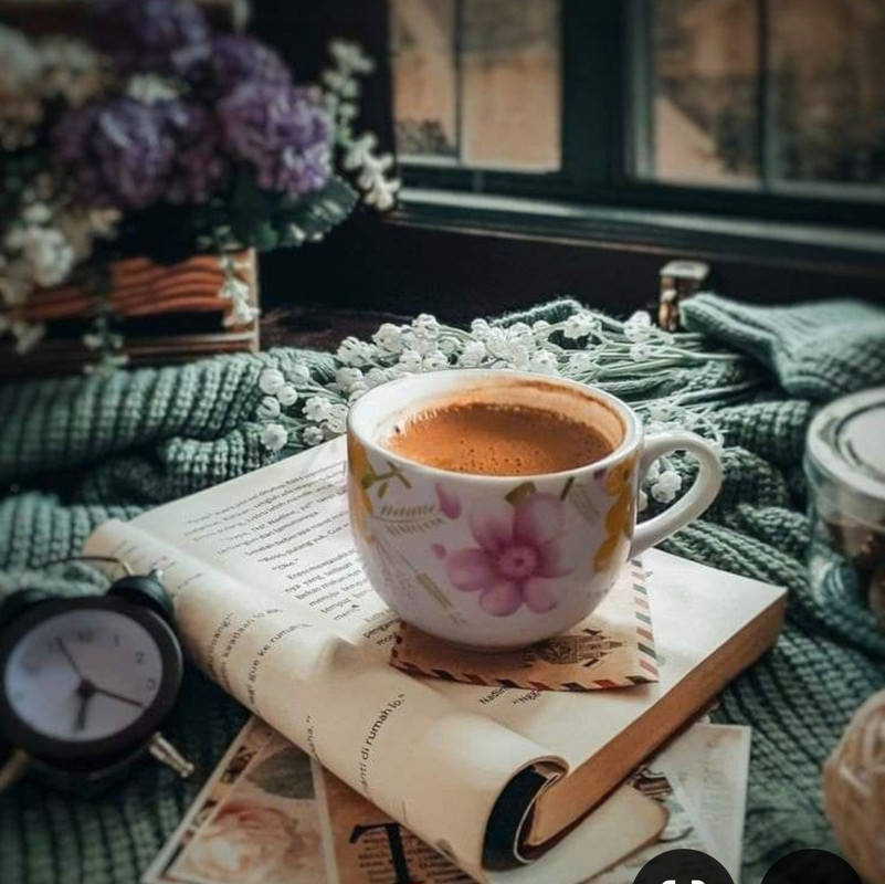 Screenshot_20240628_233928_Pinterest