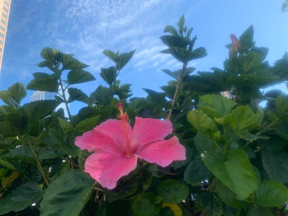 9D2E607F-9855-4FFA-91DF-6ED02425DB53