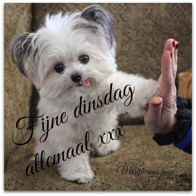 Image and video hosting by TinyPic