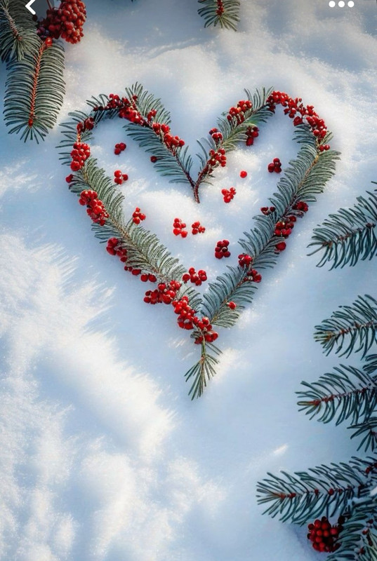 Screenshot_20231205_195228_Pinterest