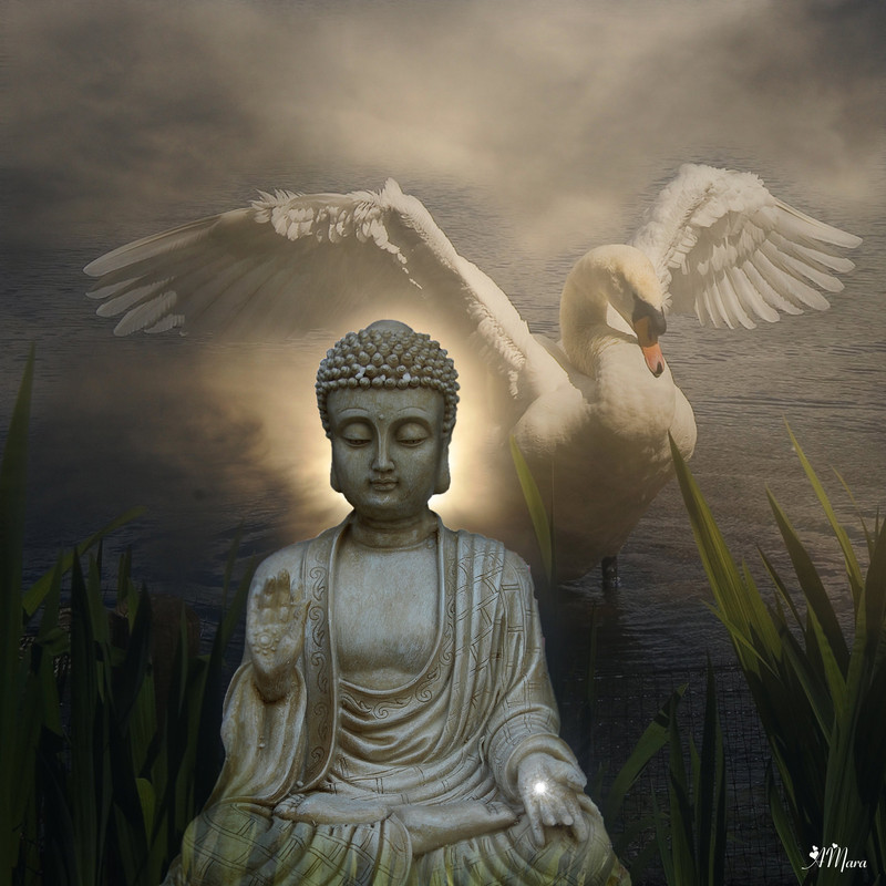 protection-buddha-statue.jpg