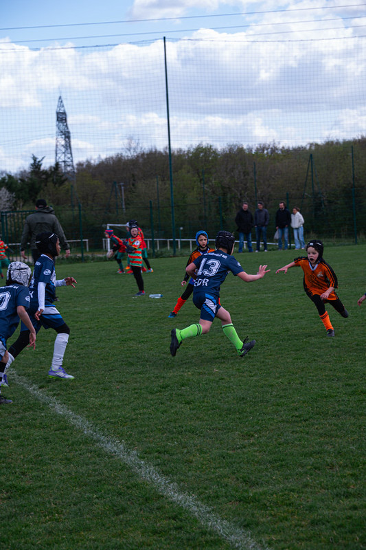 tournoi-de-latlantique-2026-adonis-griffon-110-55181547389-l