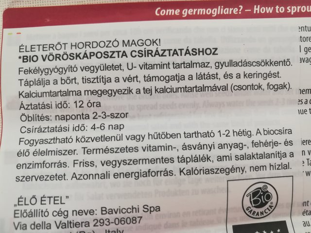 Kép