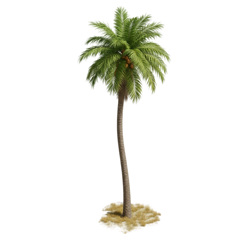 arbol decorativo 6