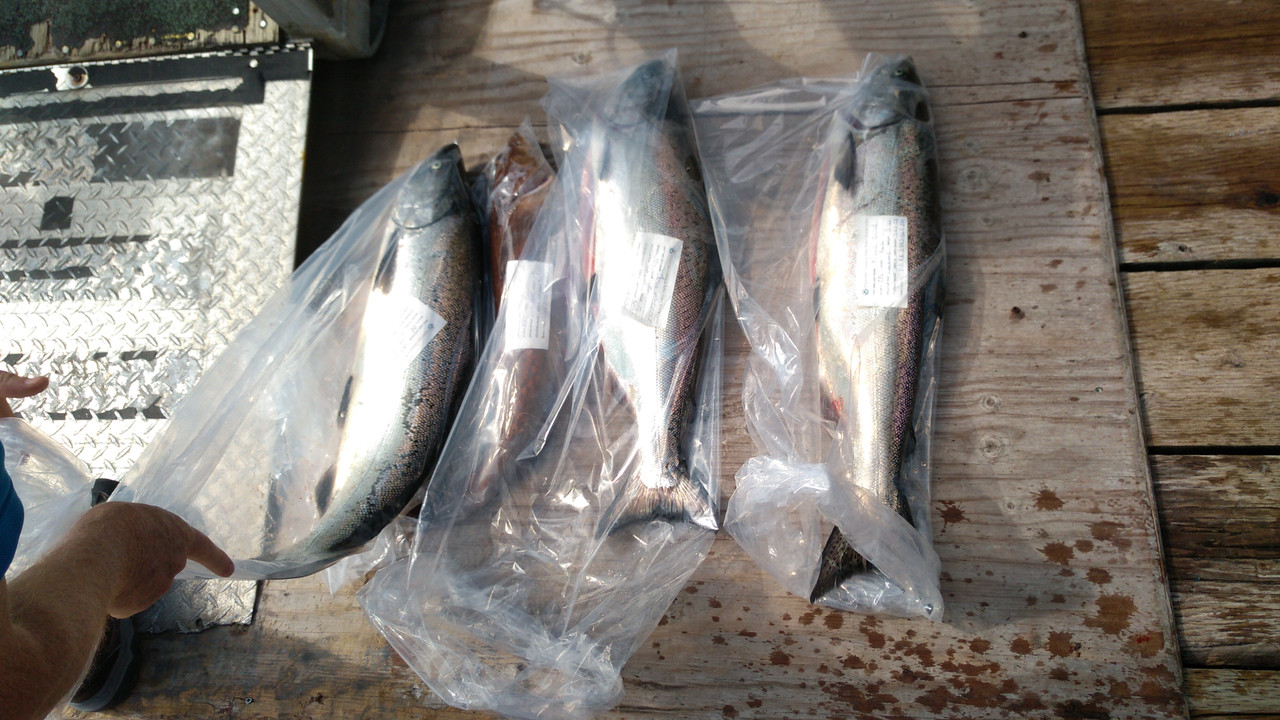 IMG_20210725_1042415