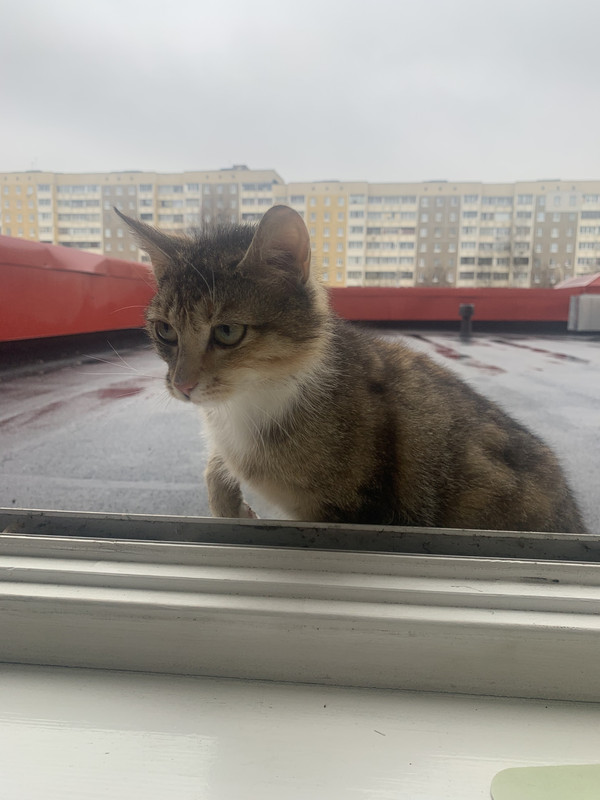 F9D41E6A-F7AF-4B4B-B9E6-46348D659565