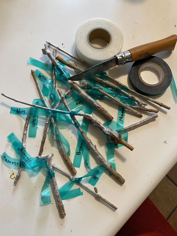 E9AF26DD-45EF-4E71-94B5-D5C880B8B18A