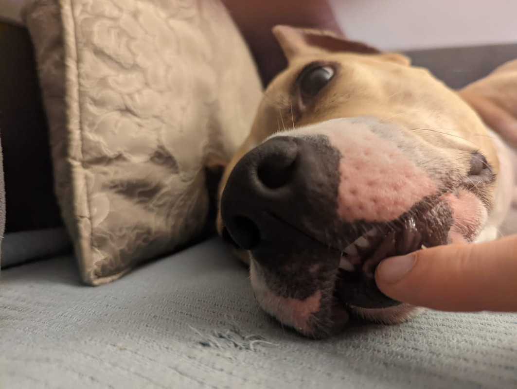 6AC3988F-7D2B-43F0-8CD4-FAB91A251B58