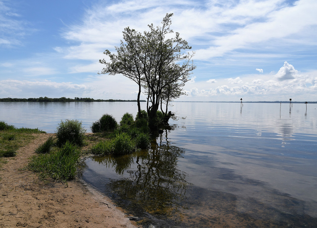 2560px-Lough-Neagh-shore-51219716595.jpg