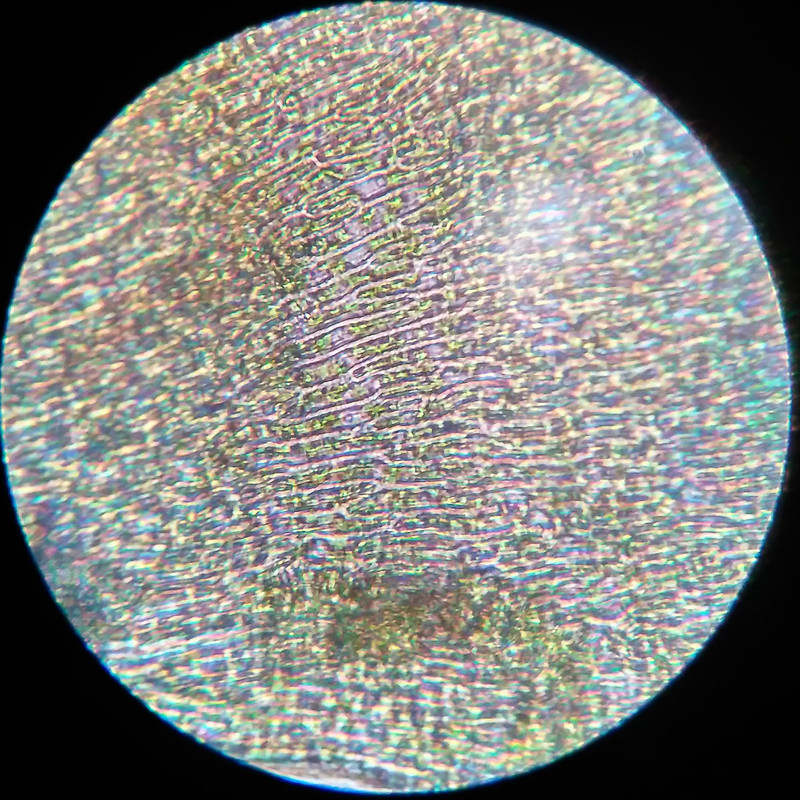 IMG 20250616 215950 HDR