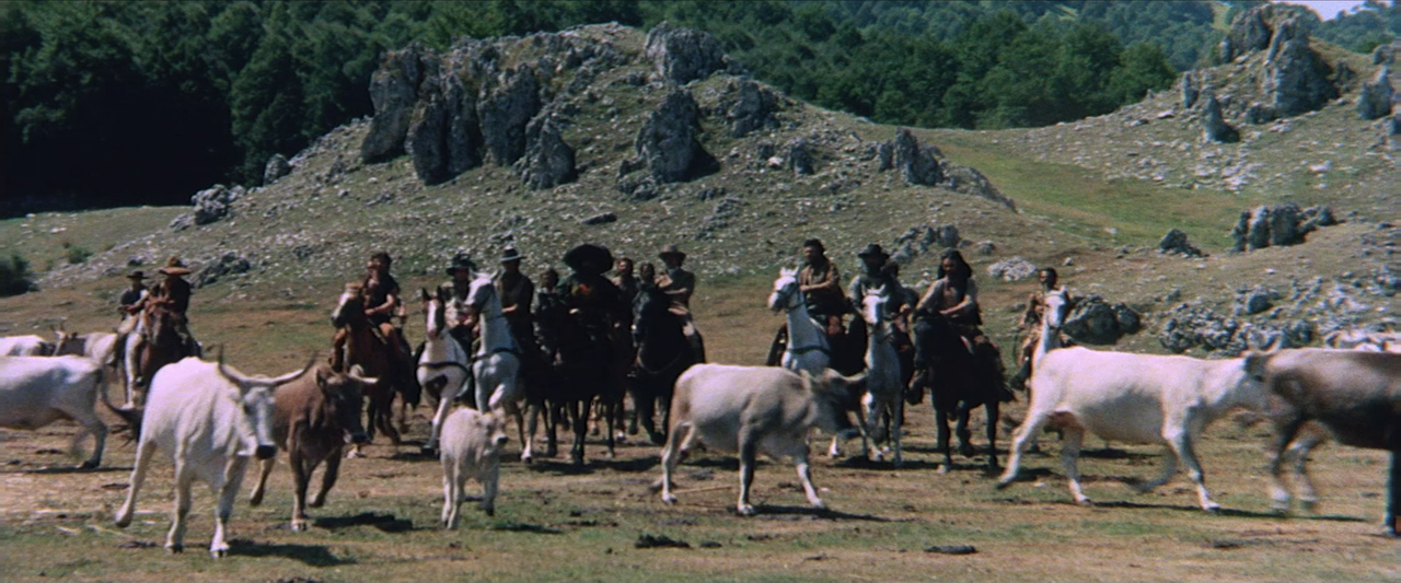 vlcsnap-2019-06-15-10h18m35s251