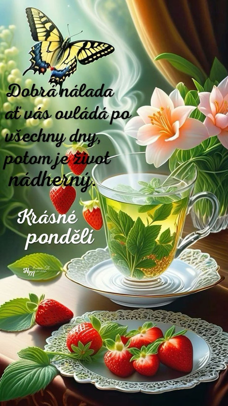 132cc6681fd8009f373118e7fda526c1