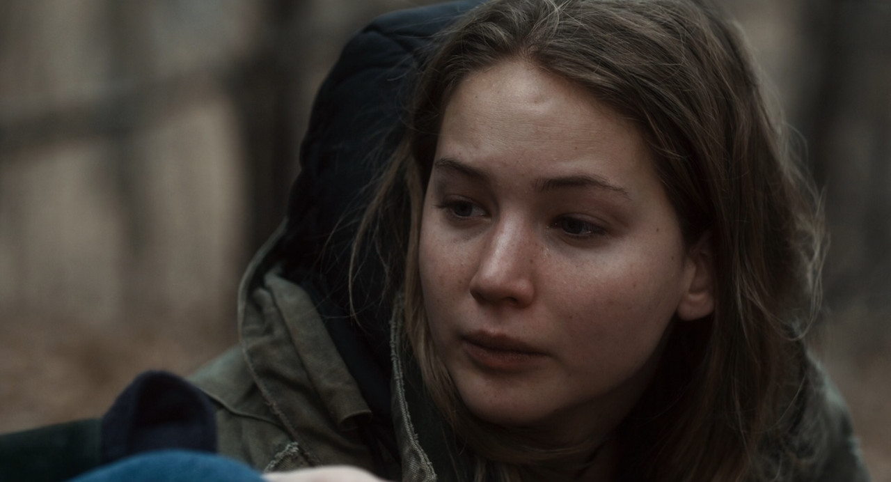 Winter's Bone (2010).mkv_snapshot_00.45.00_[2018.03.22_18.36.56]