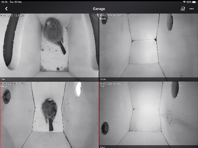 7C255210-4415-41BA-83F7-7FBC1160995E