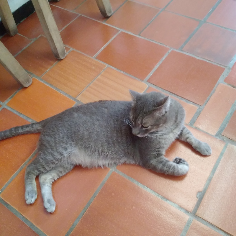 Зимовка 2026, полтора месяца в Колумбии.