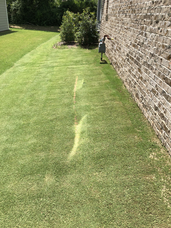 B56CBA23-C014-4EA1-9E4B-AE95D89765DA