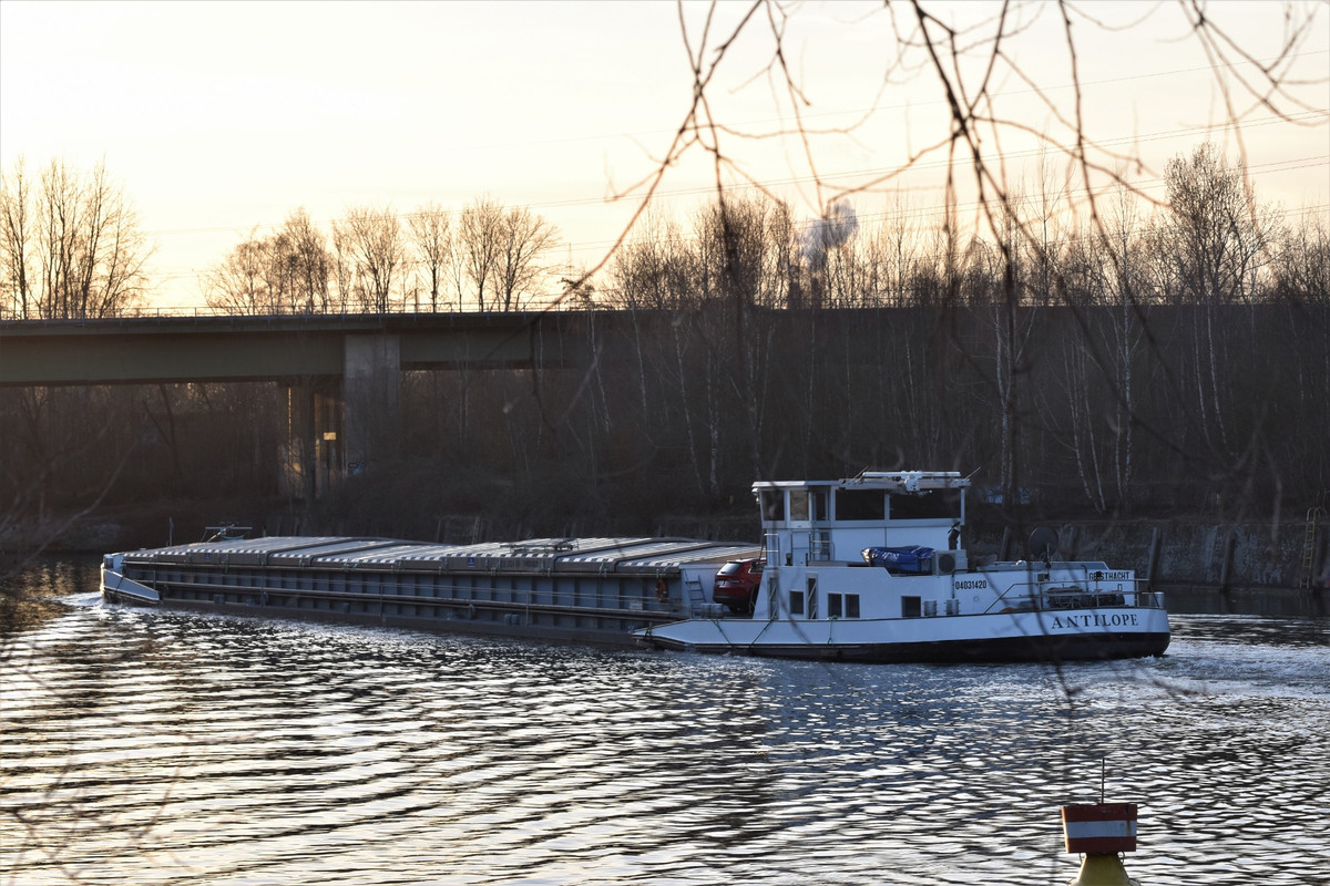 2022.02.26e RHK ANTILOPE 04 (1940x1293)