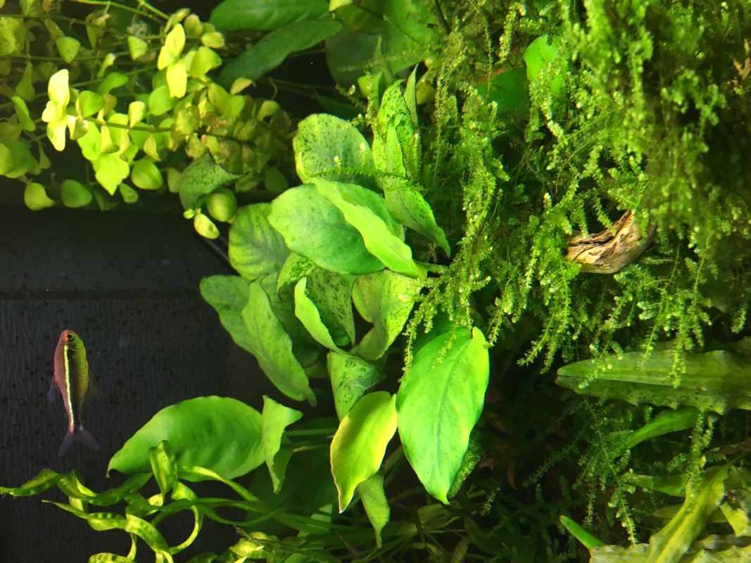 43EF332F-D0DA-418C-A27A-8BFB42AEBD50