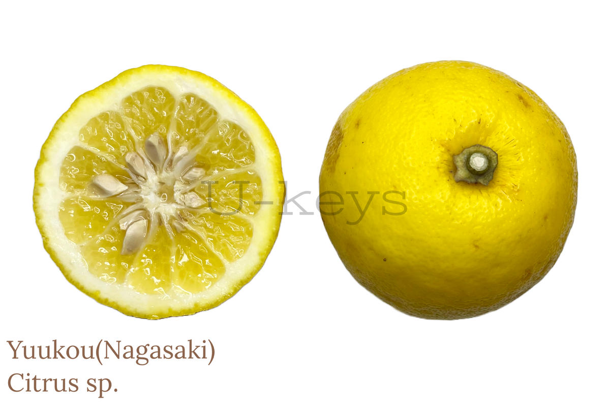 37A41CF5-9042-4268-AF67-4F532C0585B1