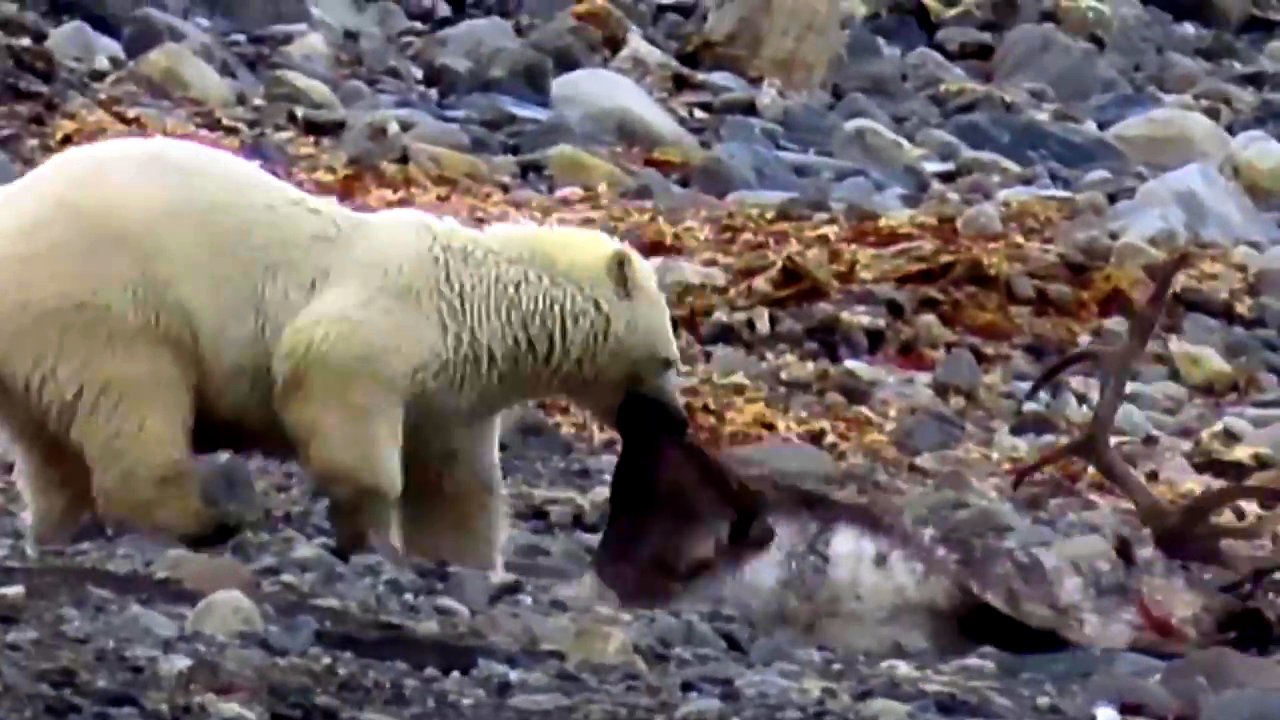 vlcsnap-2022-01-10-15h04m47s160