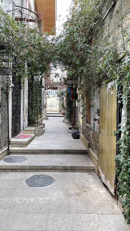 03AD6E39-7D26-4677-9DD8-53C0719266B3