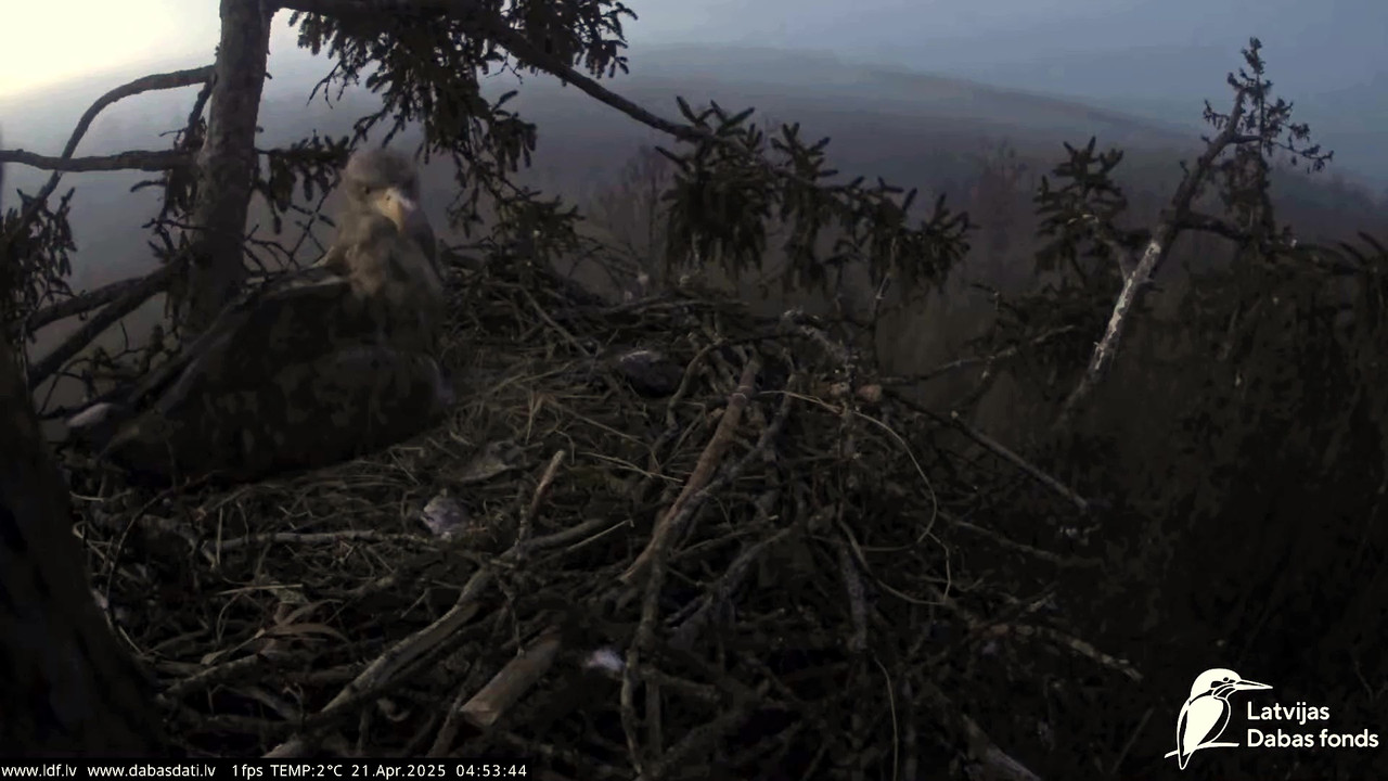 vlcsnap-2025-04-21-07h12m01s582