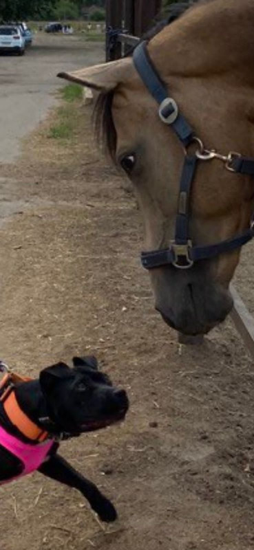 D56CECE8-8BB8-4B30-8304-520B84F48C31