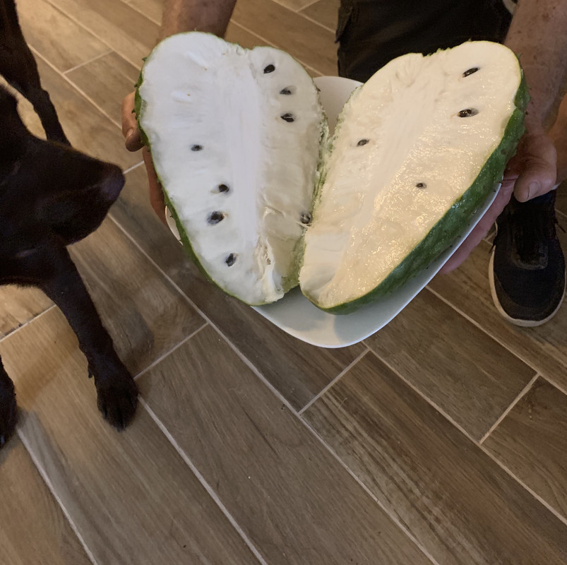 F77E0707-CEC8-4755-88B7-8DFD779D1064