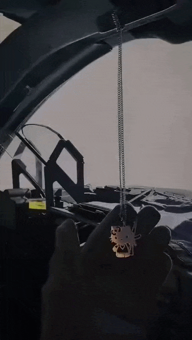 https://i.postimg.cc/wj8vmPW1/video-2026-10-06-02-24-28-(1).gif