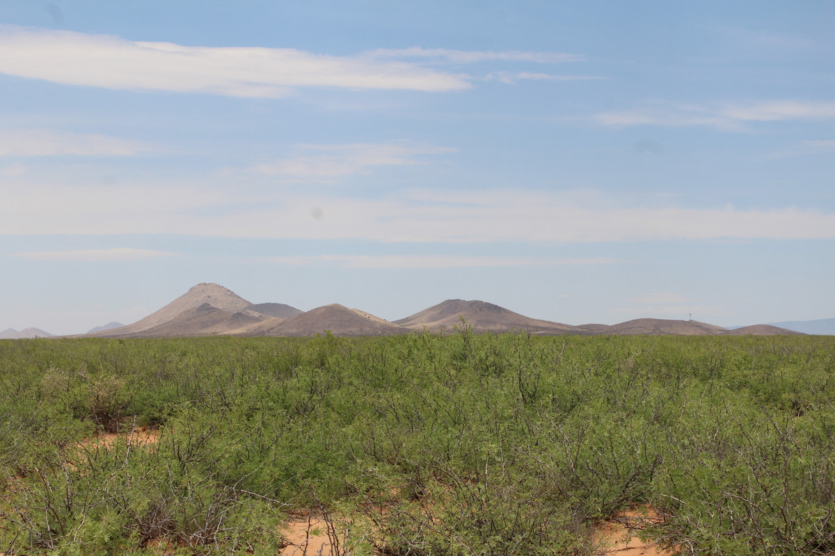 "Expansive 4.77 Acre Oasis Beckons in Horizon Ranches, West of Deming, NM!"