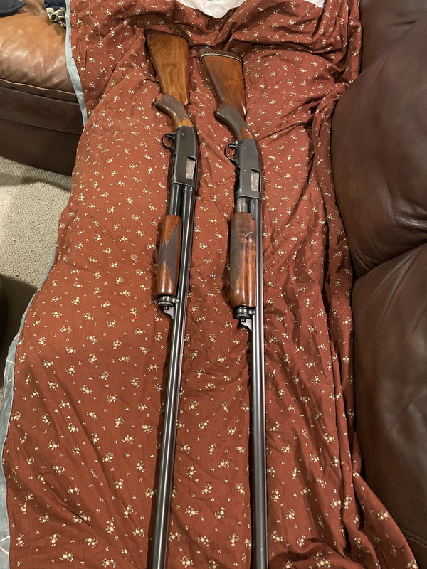 FB24DD59-7063-454A-AD57-D1403DC4806E