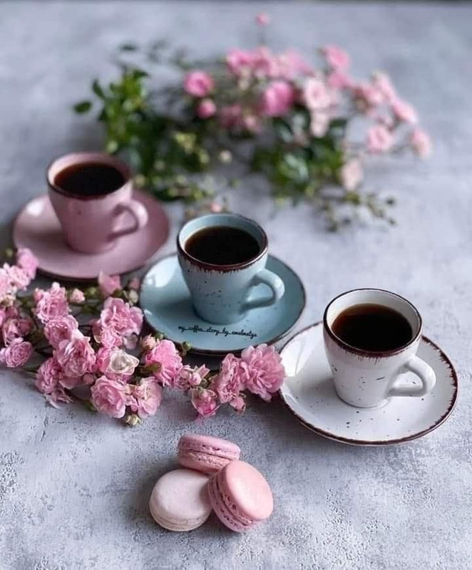 409175925_801603551999037_3059374001109326781_n